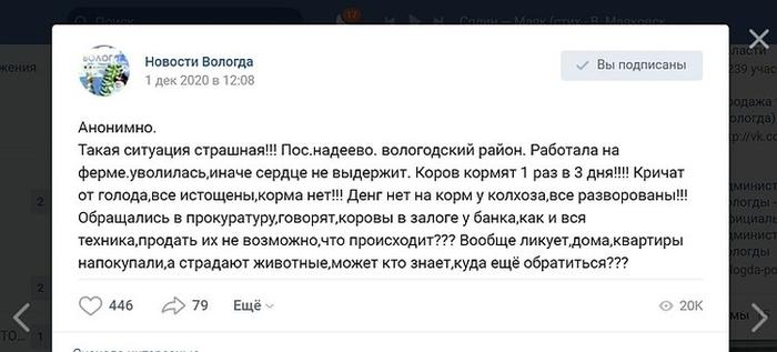 Под Вологдой, в том числе от недоедания, пало 183 коровы. Остальные голодают и кричат Под Вологдой, в том числе от недоедания, пало 183 коровы. Остальные голодают и кричат1
