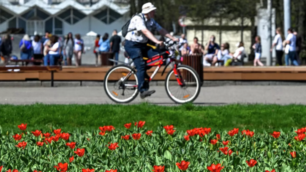 Синоптик Ильин: 30-градусная жара вернётся в Москву к концу июня Синоптик Ильин: 30-градусная жара вернётся в Москву к концу июня
