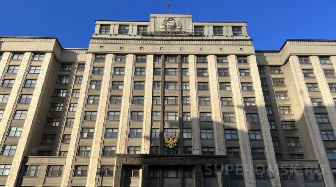 ЕР выдвинула Хоценко и Шелеста в Госдуму Новости политики0