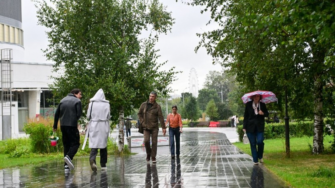 Синоптик: кратковременные дожди пройдут в Москве 1 и 2 сентября Синоптик: кратковременные дожди пройдут в Москве 1 и 2 сентября